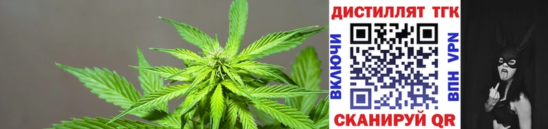 Купить закладки  Ворсма  ТГК THC oil 
